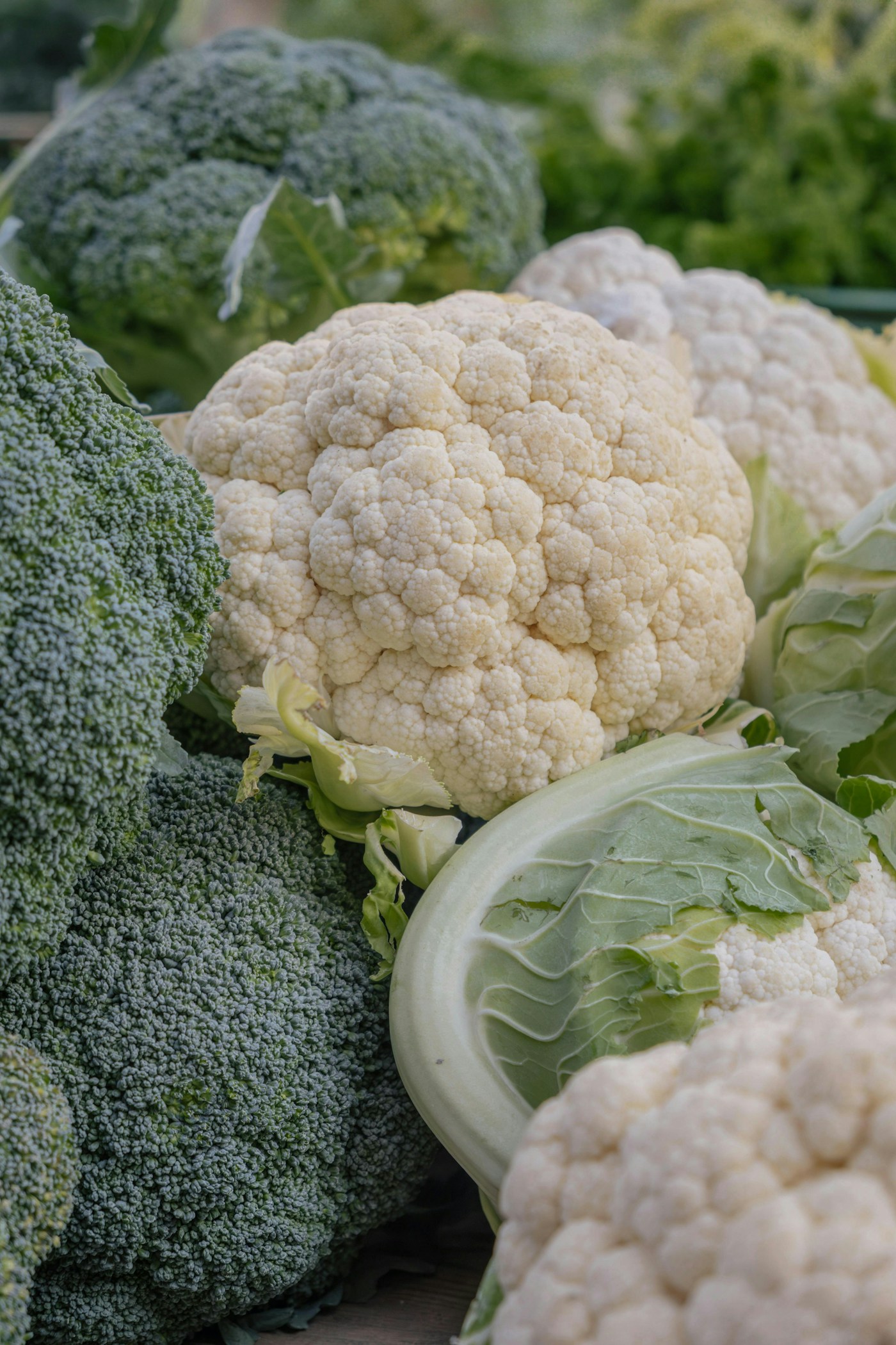 Fresh broccoli and cauliflower
